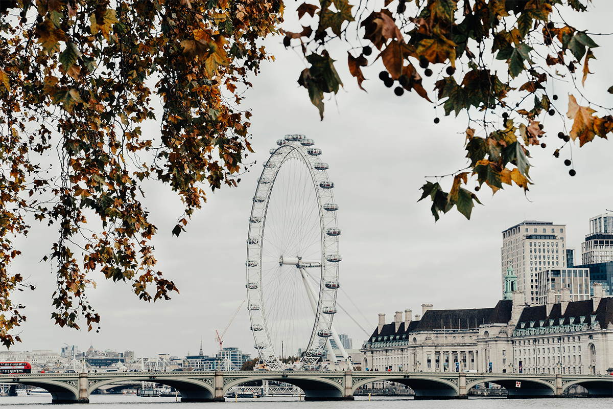 The Eye of London in the fall.