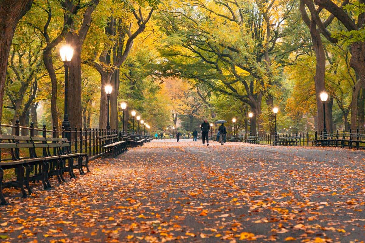 Central Park in the fall