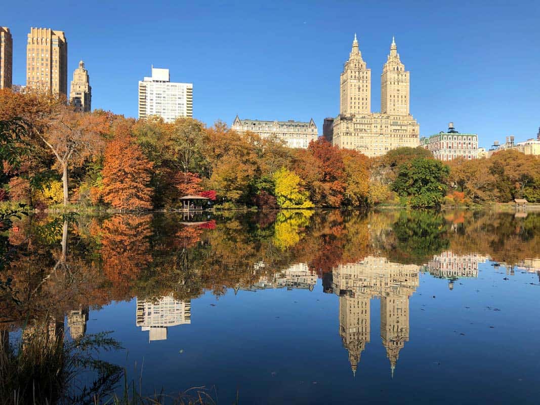 Central Park in the fall